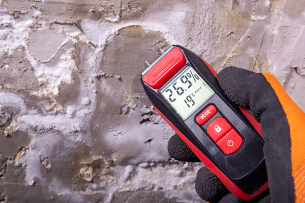 Reliable Kirby, TX Mold Removal Solutions